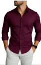 Tailored Burgundy Shirt